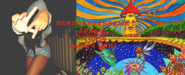 марихуана Бородино