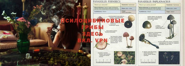 mdpv Бронницы