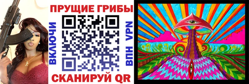Галлюциногенные грибы Psilocybine cubensis  Новоузенск 